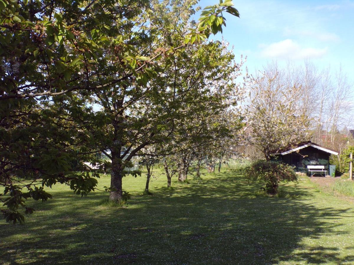Ferienwohnung Aurich Sandhorst Eg Mit Terrasse Und Kleinem Garten Esterno foto